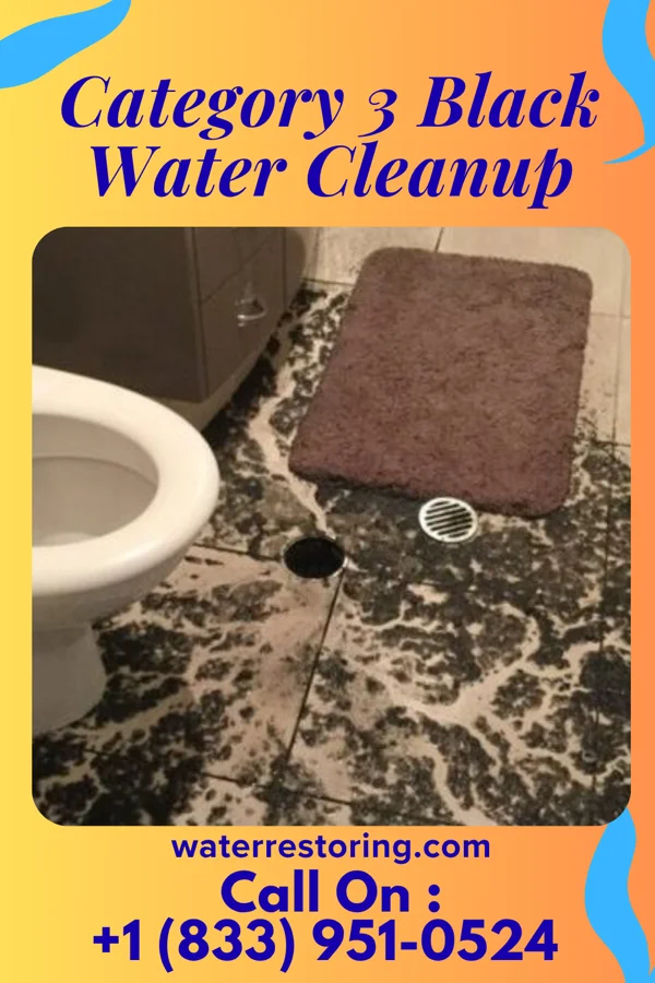 Category 3 Black Water Cleanup in Renton, WA