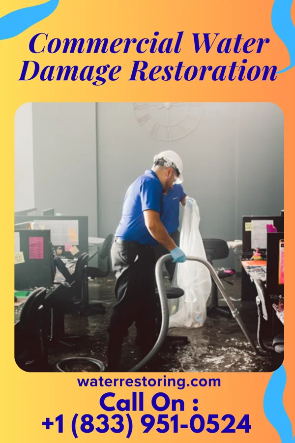 Commercial Water Damage Restoration in Renton, WA