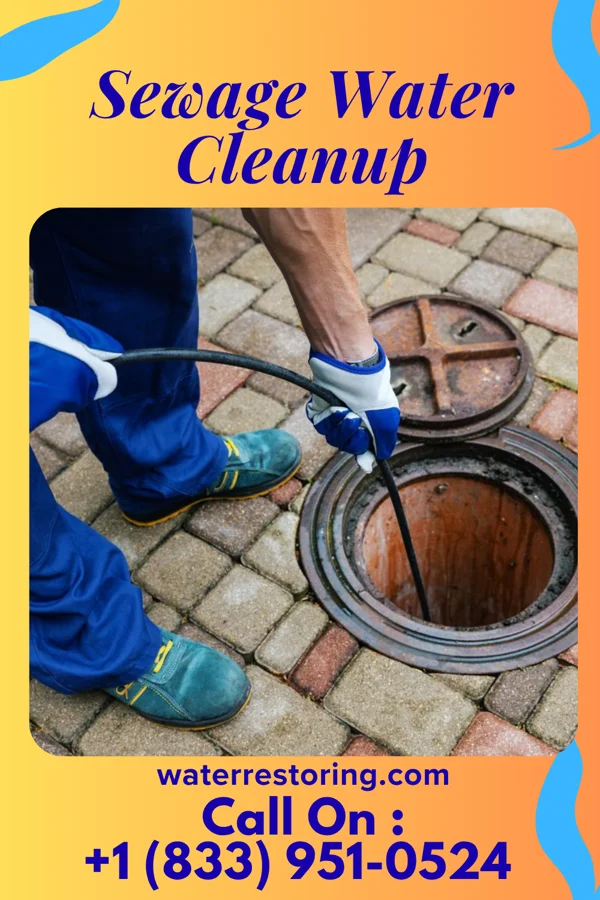 Sewage Water Cleanup in Renton, WA